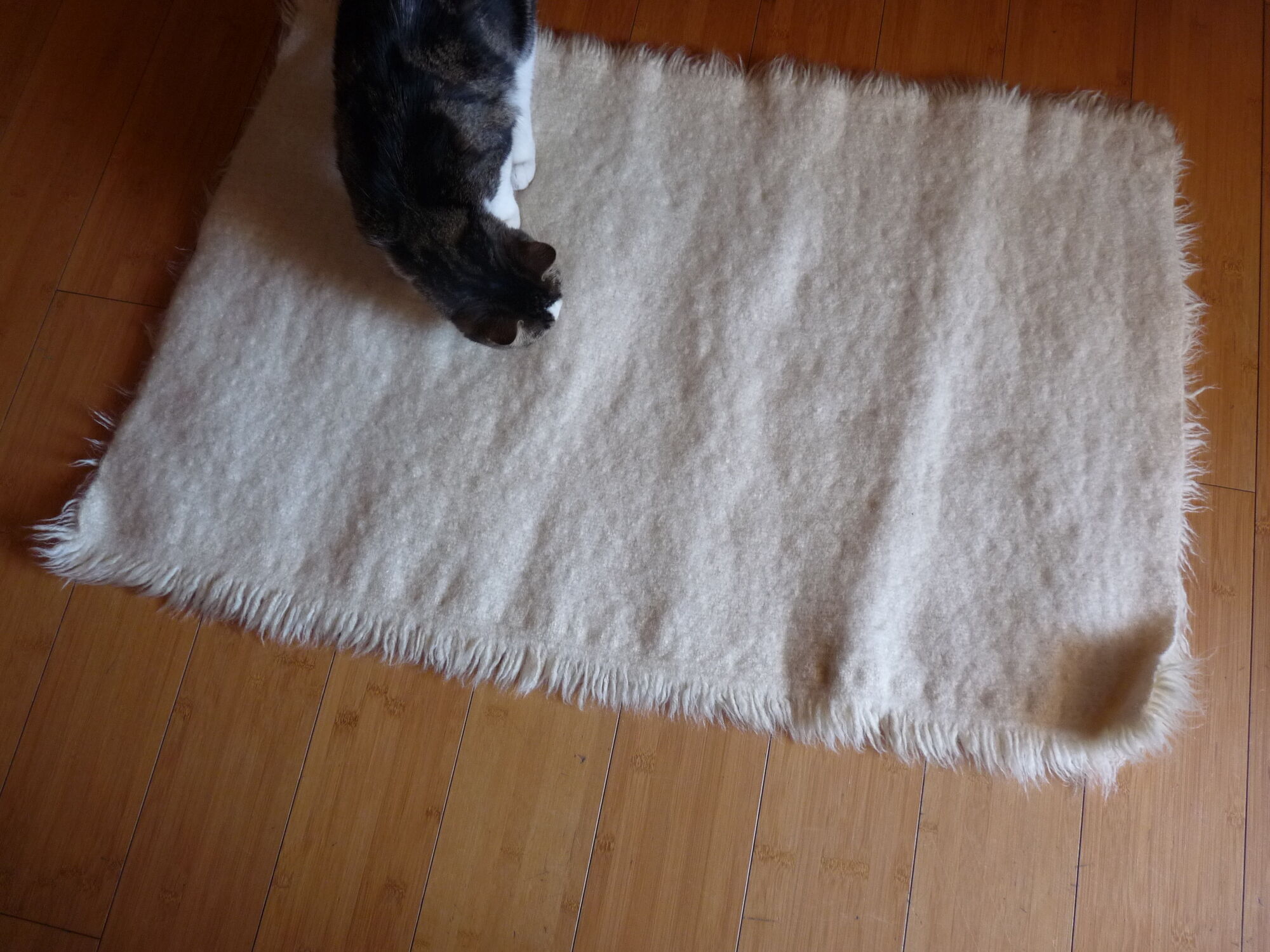 Tapis à longs poils et en pure laine - 105x70cm