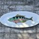 Gien dish with fish decoration model Baie d'Along 50s