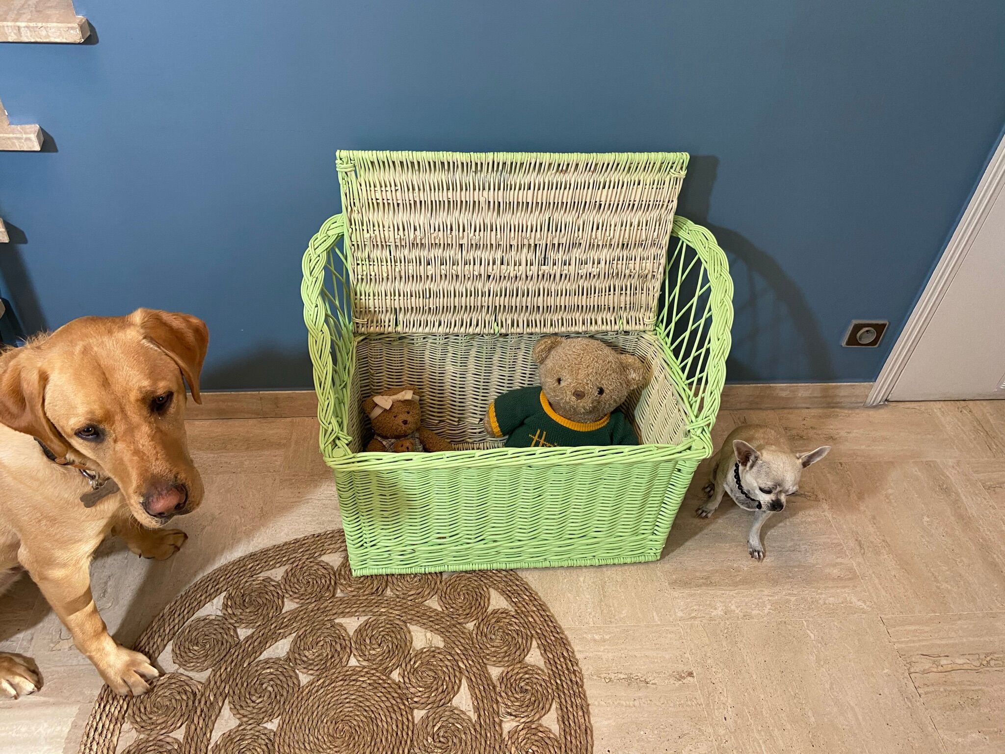 Vintage rattan bench toy chest