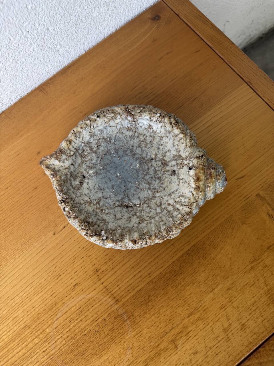 Shell-shaped ceramic glazed catchall