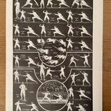 Photographic plate on fencing - 1940