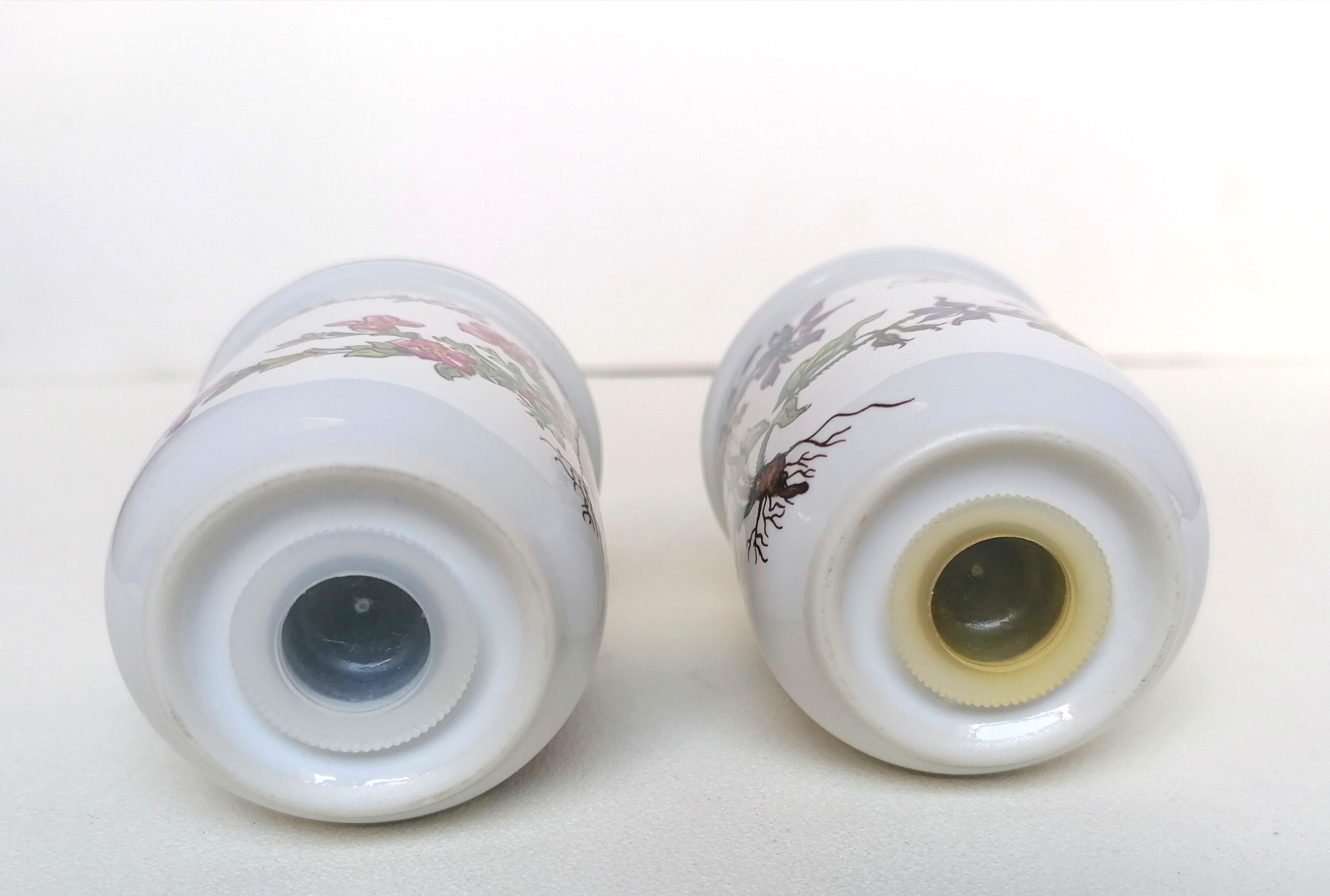 Salière and pepper shaker Villeroy and Boch botanical decoration