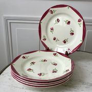 Set of 5 flat plates digoin sarreguemines model aigues-vives hand painted years 30-40