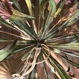 Chandelier with flowers