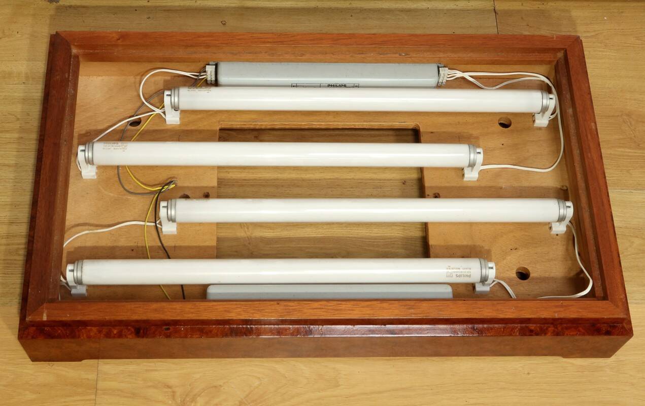 Display Cabinet in Brass and Elm – 1950