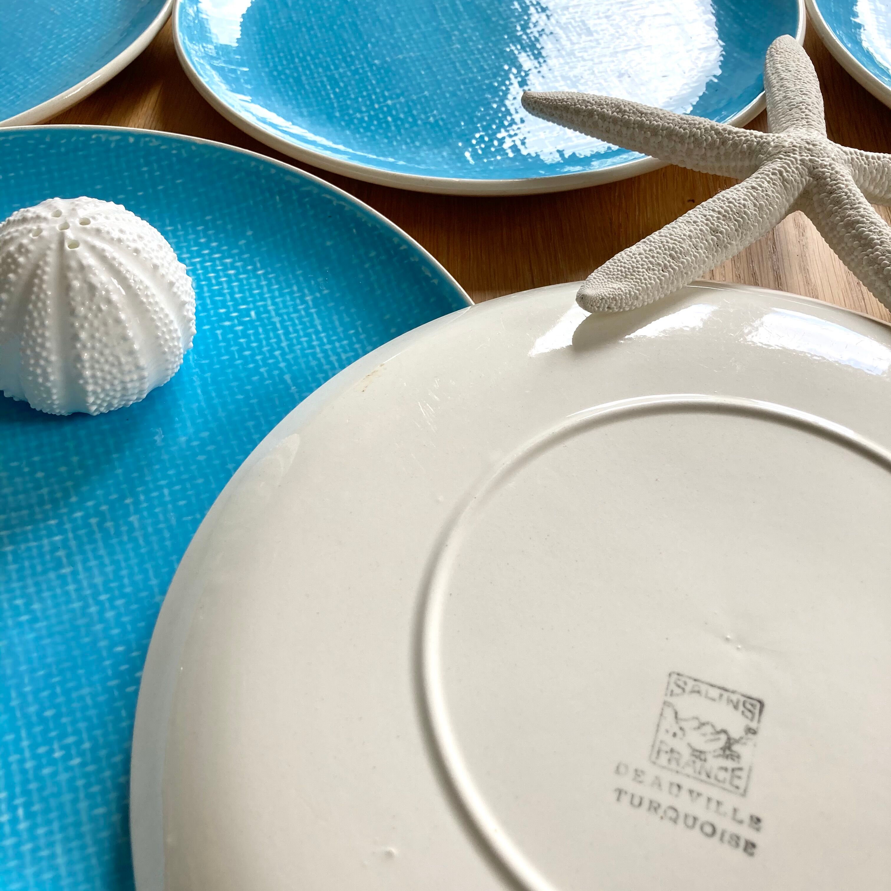10 Salins Deauville plates