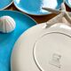 10 Salins Deauville plates