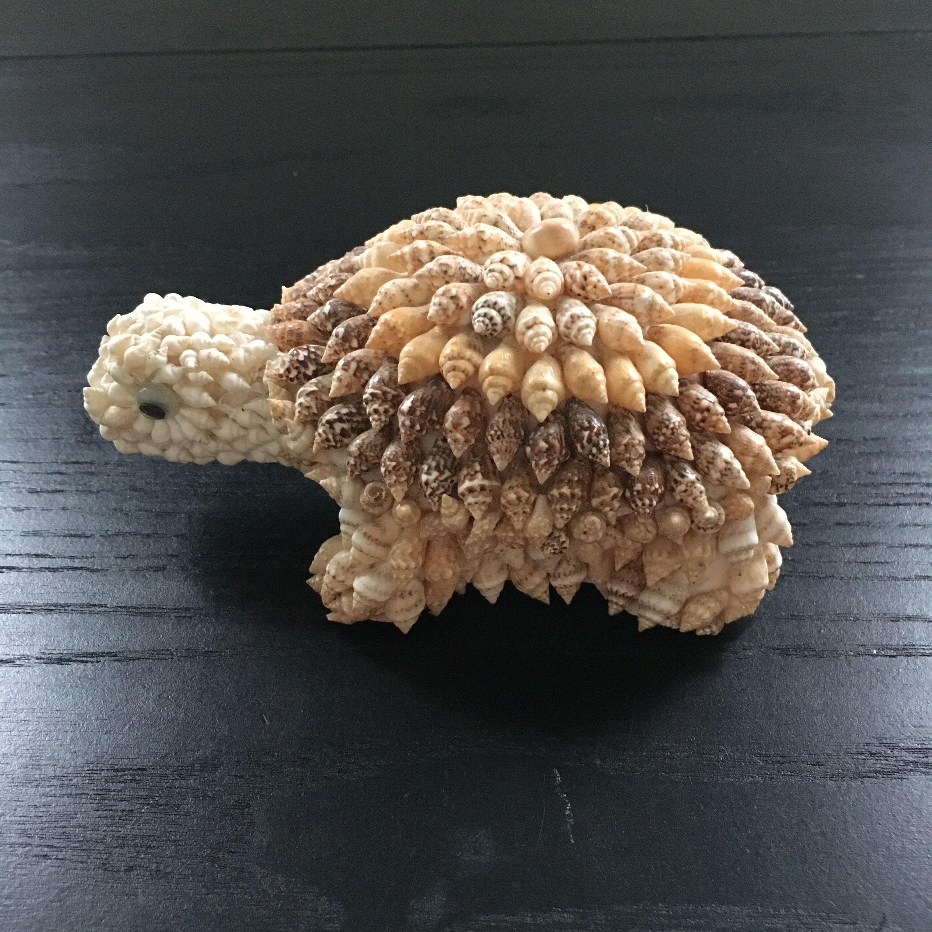Shell turtle paperweight