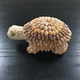 Shell turtle paperweight