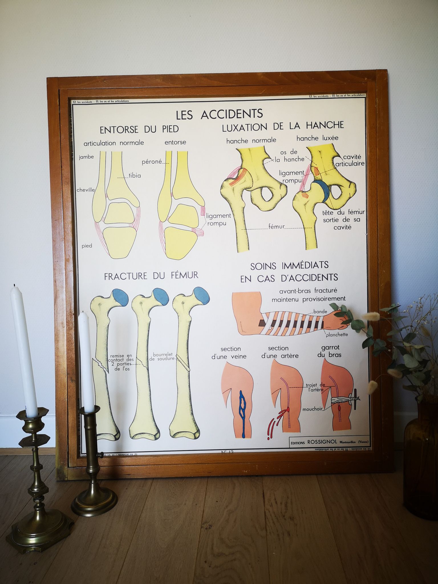 Former School Poster Rossignol of the 50s anatomy medicine bones joints