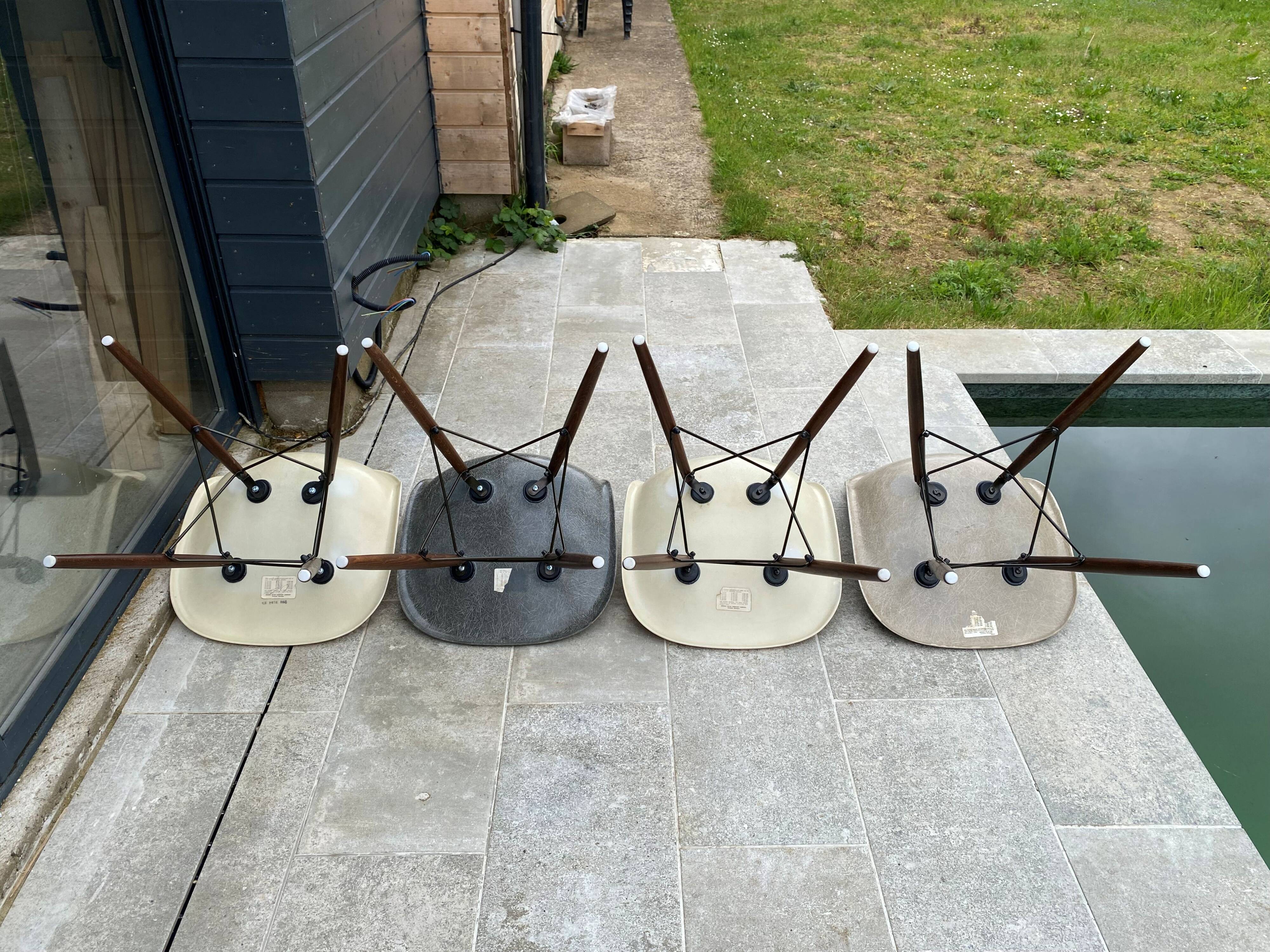 Lot of 4 DSW chairs in walnut fiber by Eames Herman Miller, vintage