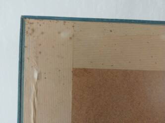 "marin love" numbered offset