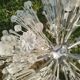 "Dandelion" or "Sputnik" chandelier, 1950s, designed by Emil Stejnar