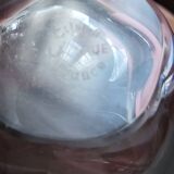 4 verres cristal Lalique modèle Highlands