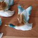 Série de 3 canards en vol en faience allemande - marque au dos