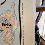 Vidal Lablache wall map