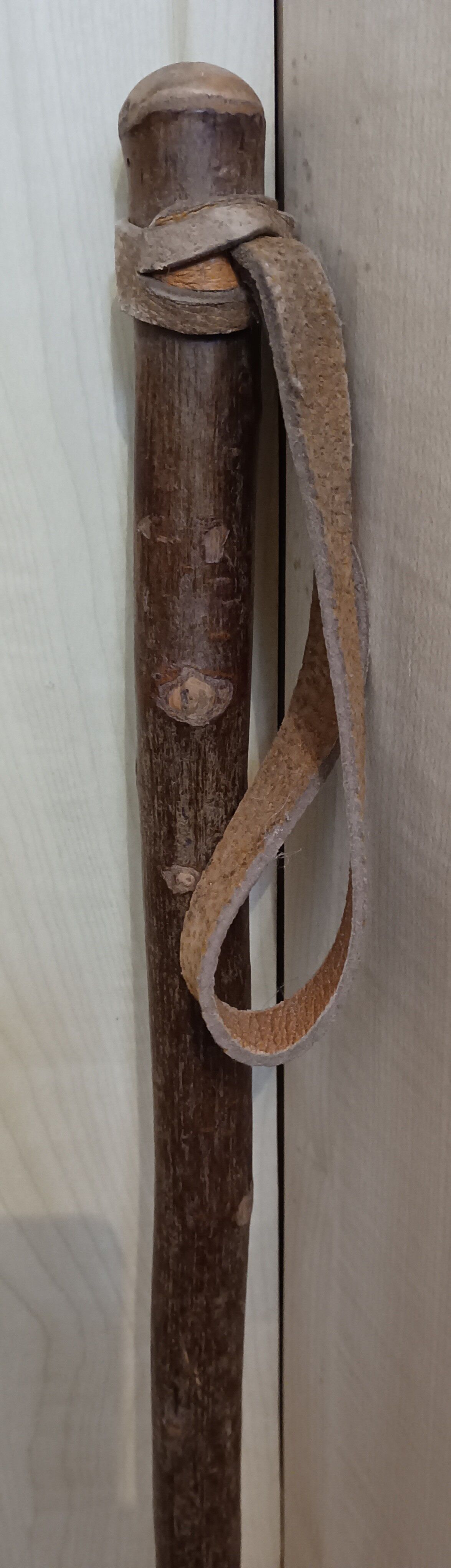 Old pair ski wood REKORD