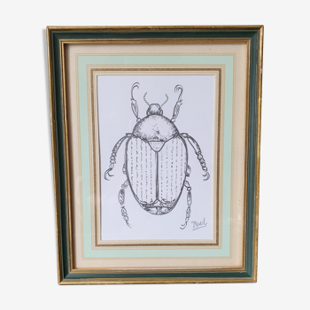 Framed insect sketch