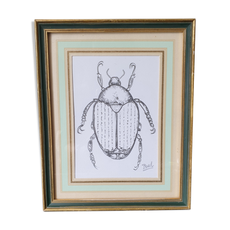 Framed insect sketch