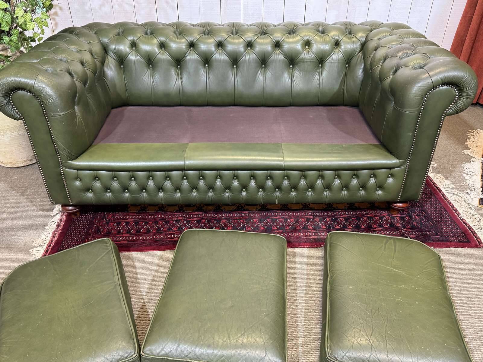 Chesterfield leather 3-seater sofa with mahogany legs - English craftsmanship