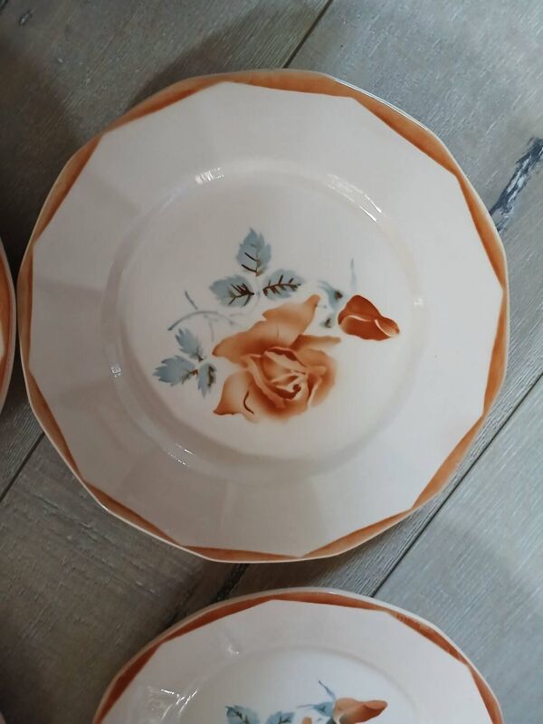 6 assiettes plates anciennes Digoin et Sarreguemines