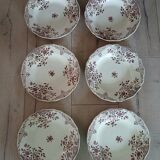6 polychrome ironstone soup plates