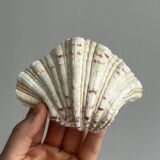 Empty pocket bowl