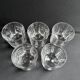 5 Whiskey Glasses – Villeroy & Boch Concorde Service