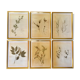 Lot of herb boards from 1950