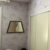 Metal mirror