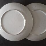 Botanical plates