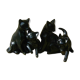 Lot de 4 chats noirs