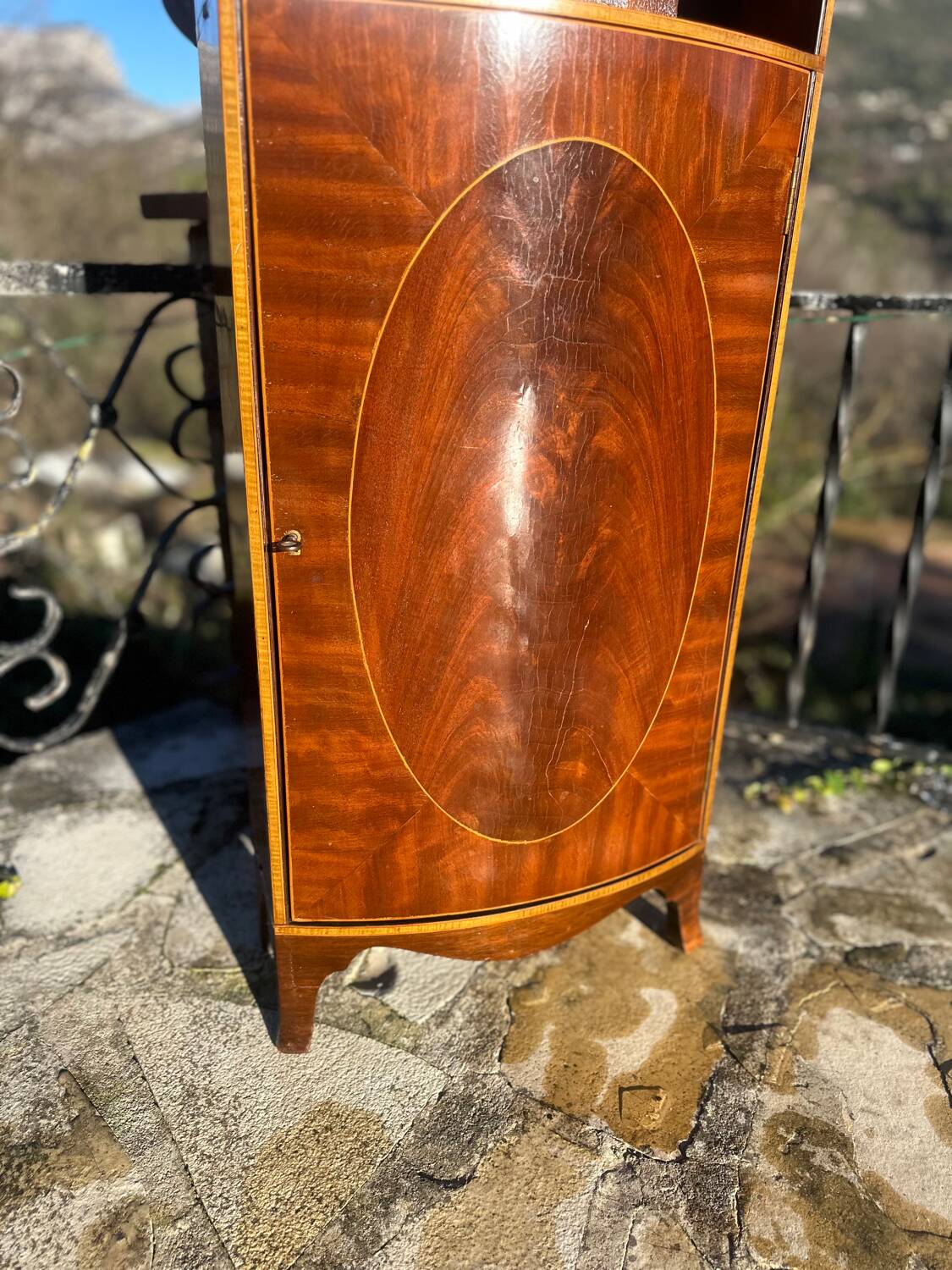 Flamed Mahogany Library in Regency style.