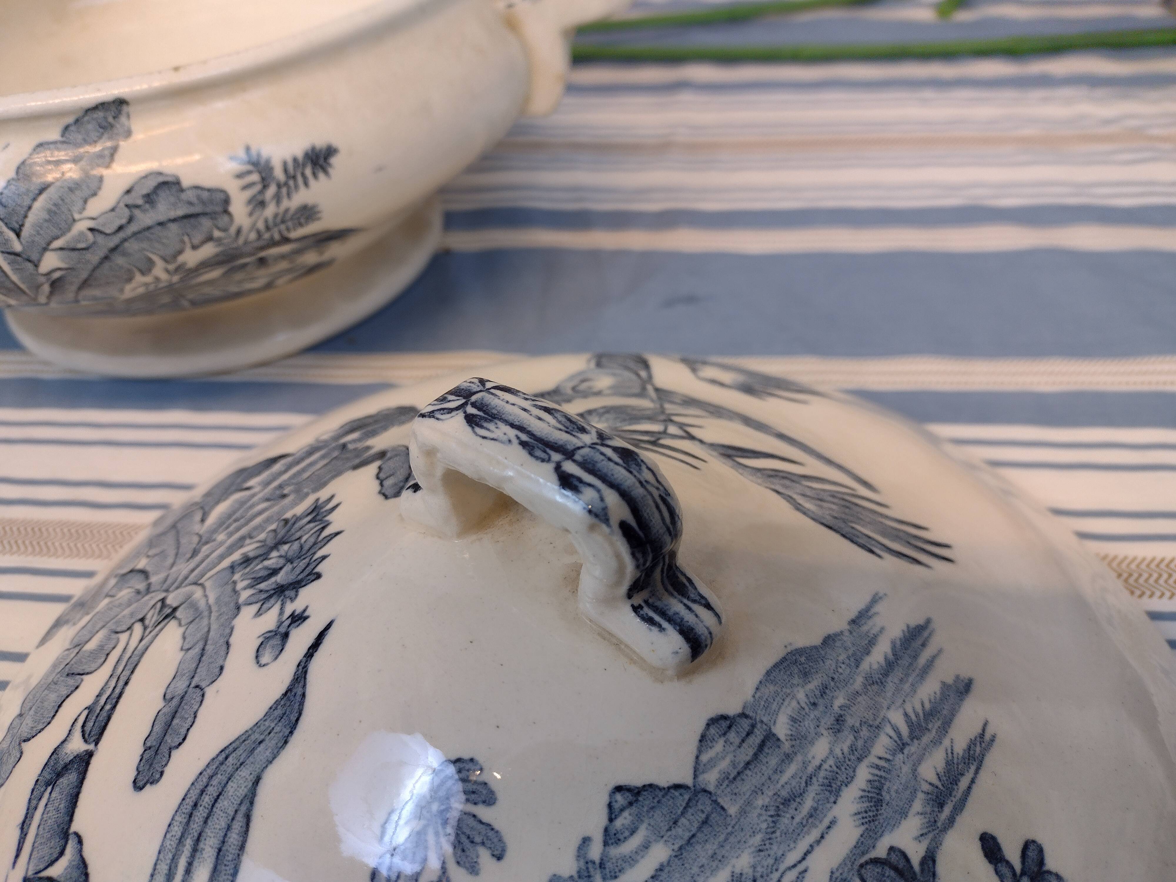 soup bowl longchamp exotic model