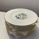 Limoges porcelain service paradise bird