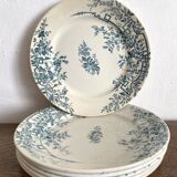 Badonviller ironstone plates "Roses"