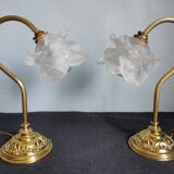 Pair of vintage gooseneck lamp