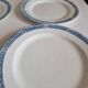 Set of 14 Terre de fer Salins plates, Castellane model