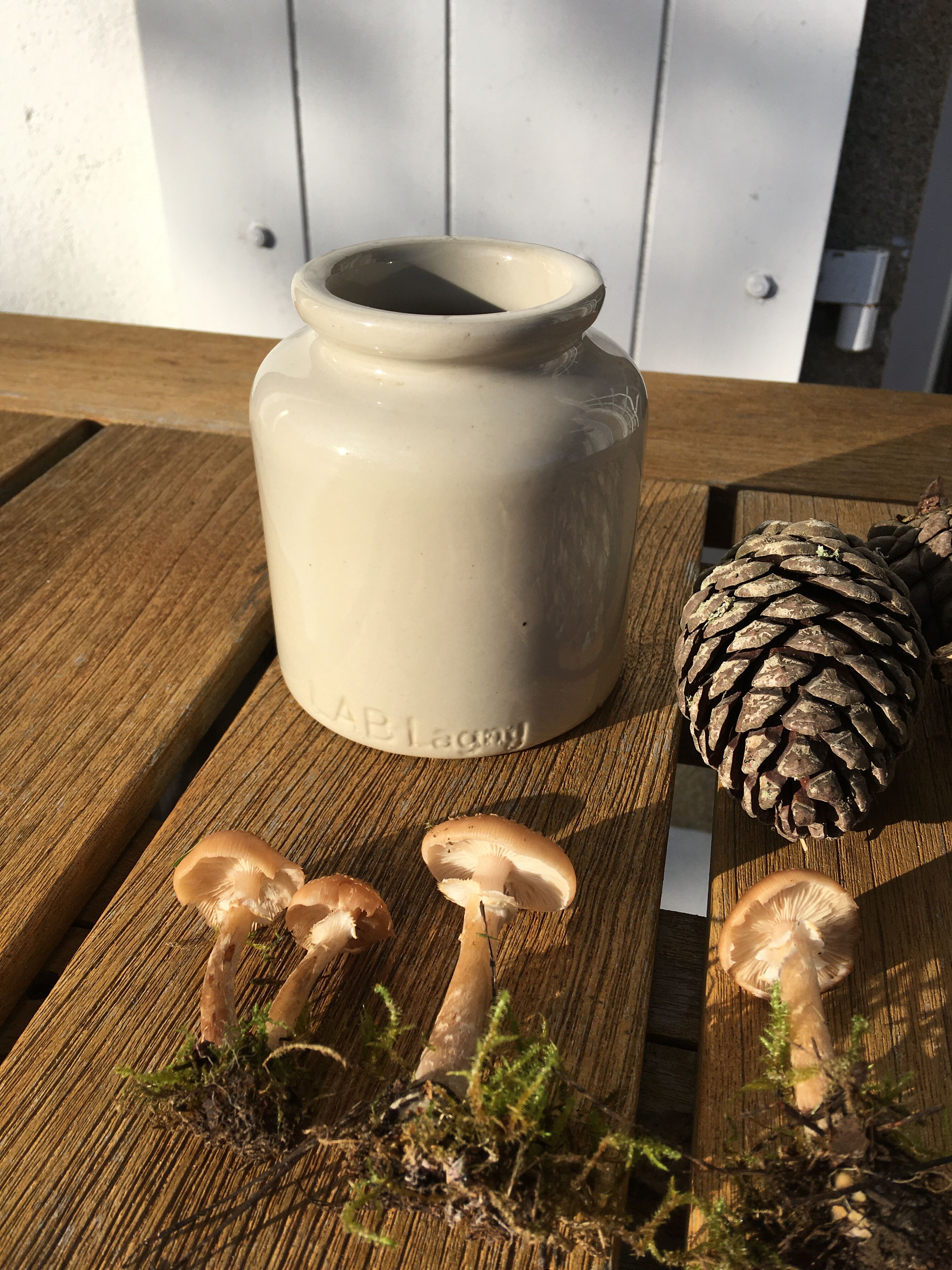 Beige sandstone mustard pot