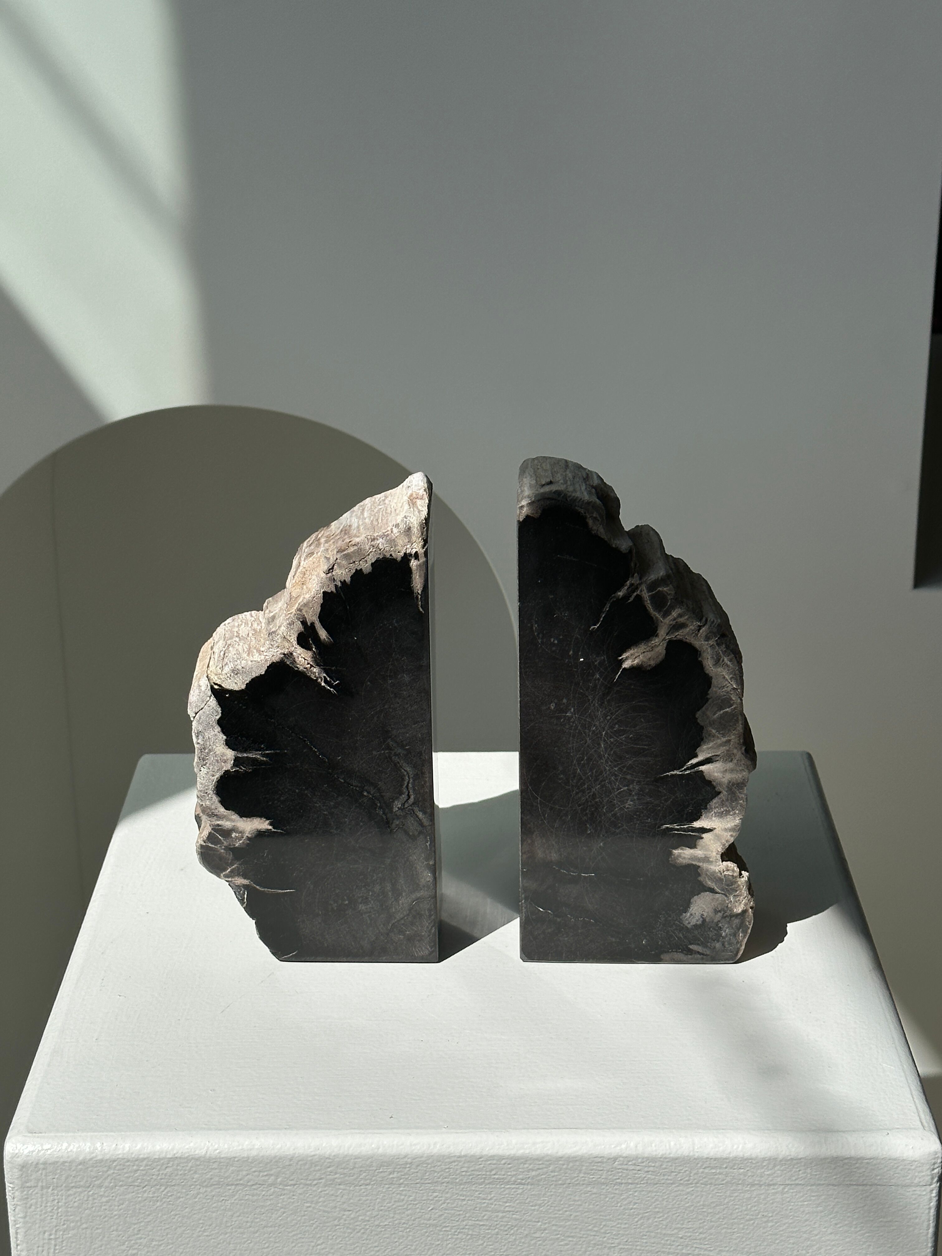 Black petrified wood bookend H17 L17 P6