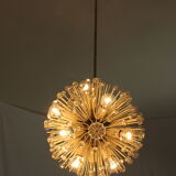 Suspension Emil Stejnar for Rupert Nikol "Sputnik"