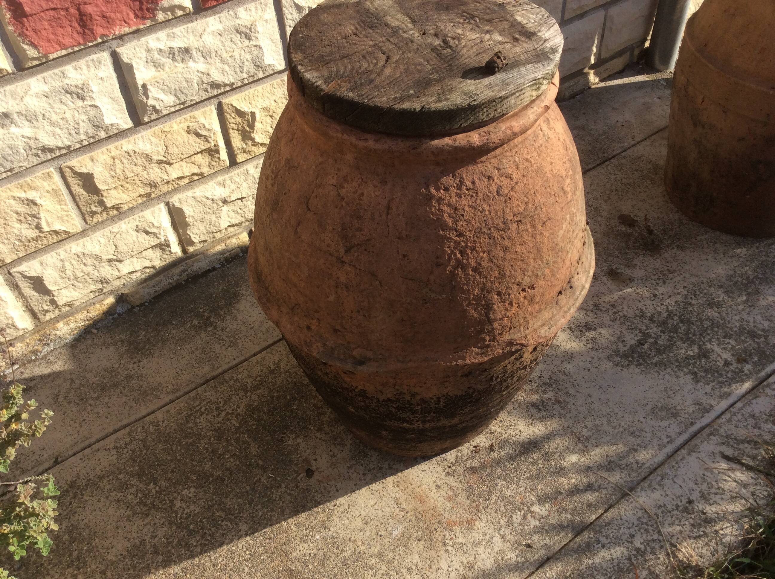 Ancient Orcio dà olio italiano