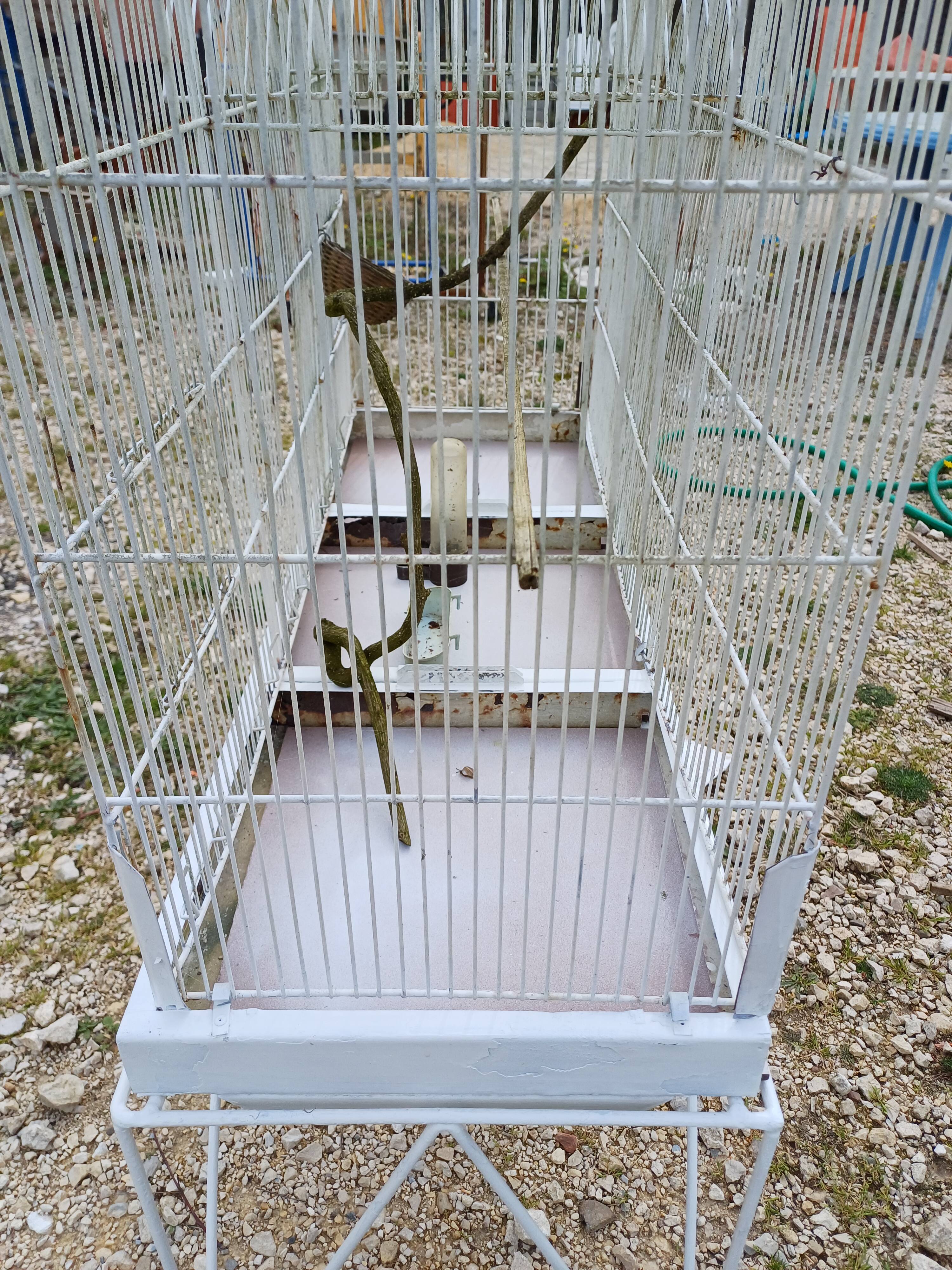Cage à Oiseaux Fer 1900