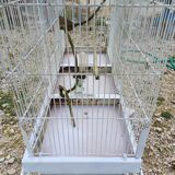Iron Bird Cage 1900
