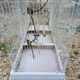 Iron Bird Cage 1900