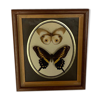 Butterfly frame