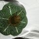 Cabbage leaves dish