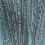 Hans hartung: hope - original lithograph