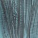Hans hartung: hope - original lithograph