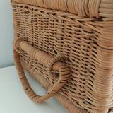 Rattan trunk
